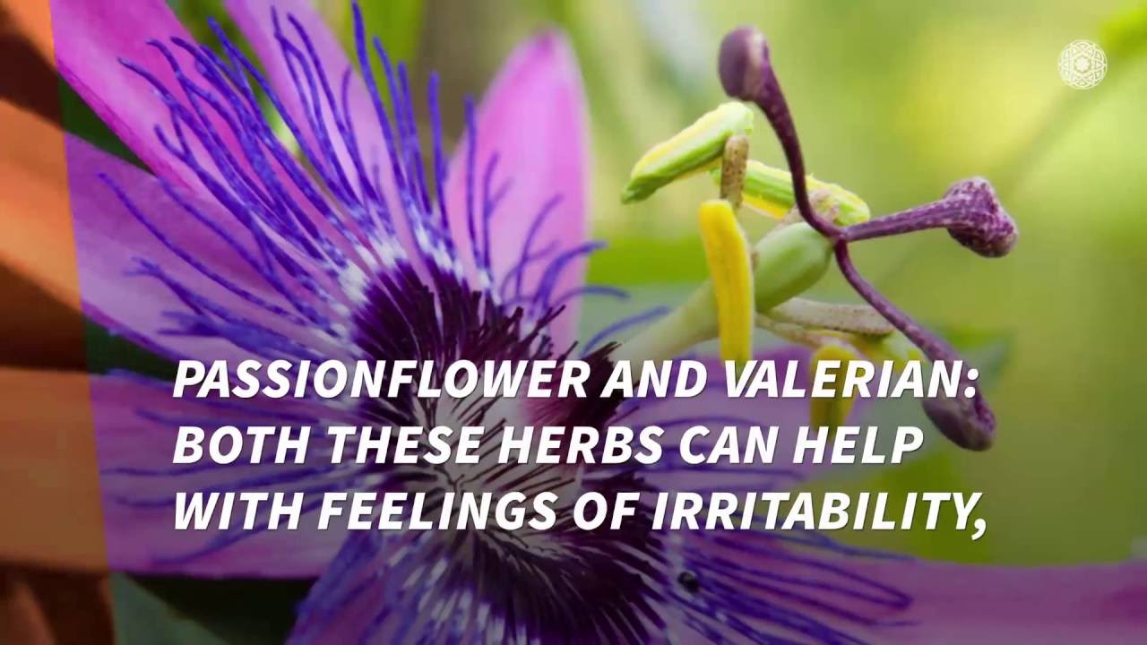 Herbs to Help You Quit Smoking YouTube