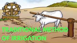 Traditional methods of irrigation class 8 | Moat irrigation | Chain pump irrigation | Dhekli | Rahat