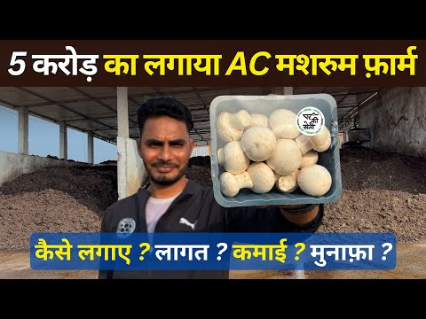 मशरुम की खेती कैसे करे ? 😱🍄‍🟫 | PART 2 | Mushroom Seeds | AC |Bunker Chambers | Investment Profit