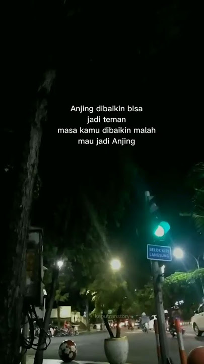 anjing aja di baikin bisa jadi teman masa kamu di baikin Malah mau jadi anjing🤔 #shortvideo #storywa