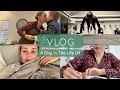 A Day In The Life Of Rolene Strauss | Vlog