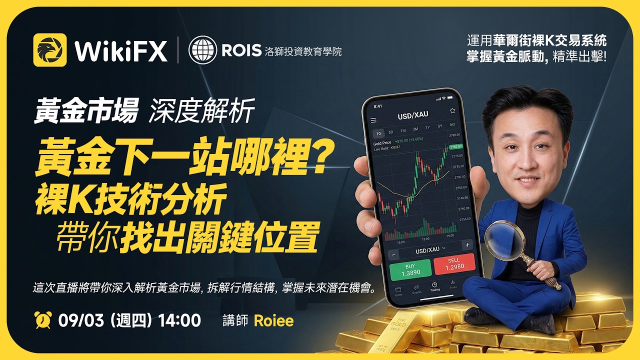 WiKi FX Live 2026/09/03 - 精準進出場系統