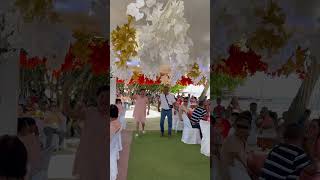PRINCIPAL SPONSOR DANCING SHORTVIDEO #trending #viral #shorts #principal#sponsor #hazelschannel3293