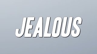 Dj Khaled  Jealous Ft Chris Brown Lil Wayne Big Sean s