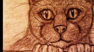 Animal drawings 1 collection