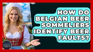 How Do Belgian Beer Sommeliers Identify Beer Faults? - Exploring The Benelux