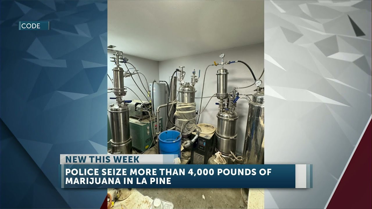Police seize more than 4,000 pounds of marijuana, shut down unlicensed ...