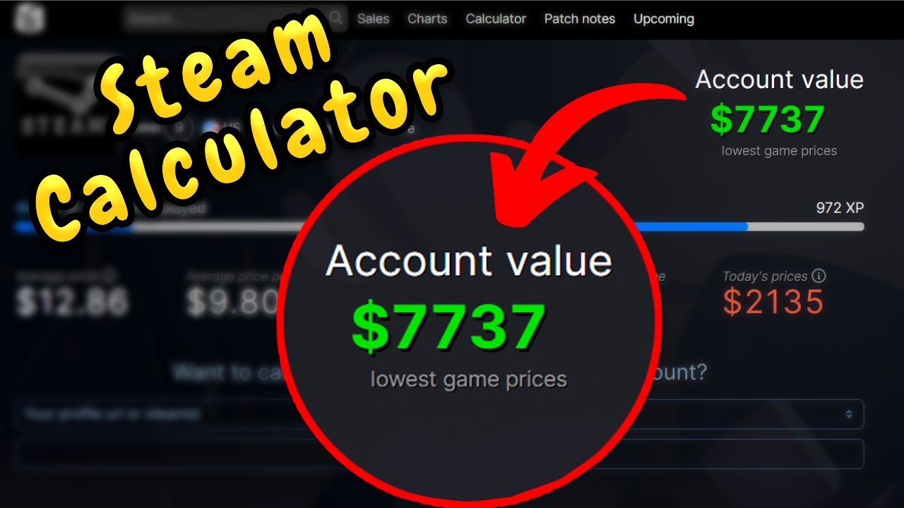 Como usar o Steam Calculator para saber detalhes de sua conta