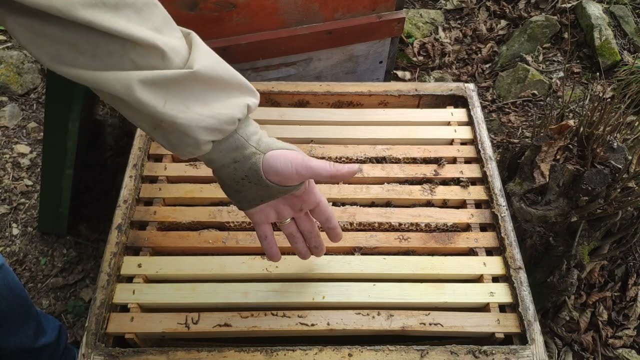 Ben arılarımı sıkıştırmam kış kaybı da yaşamam! Çok lafını işittim ama herkese de ben gösterdim.