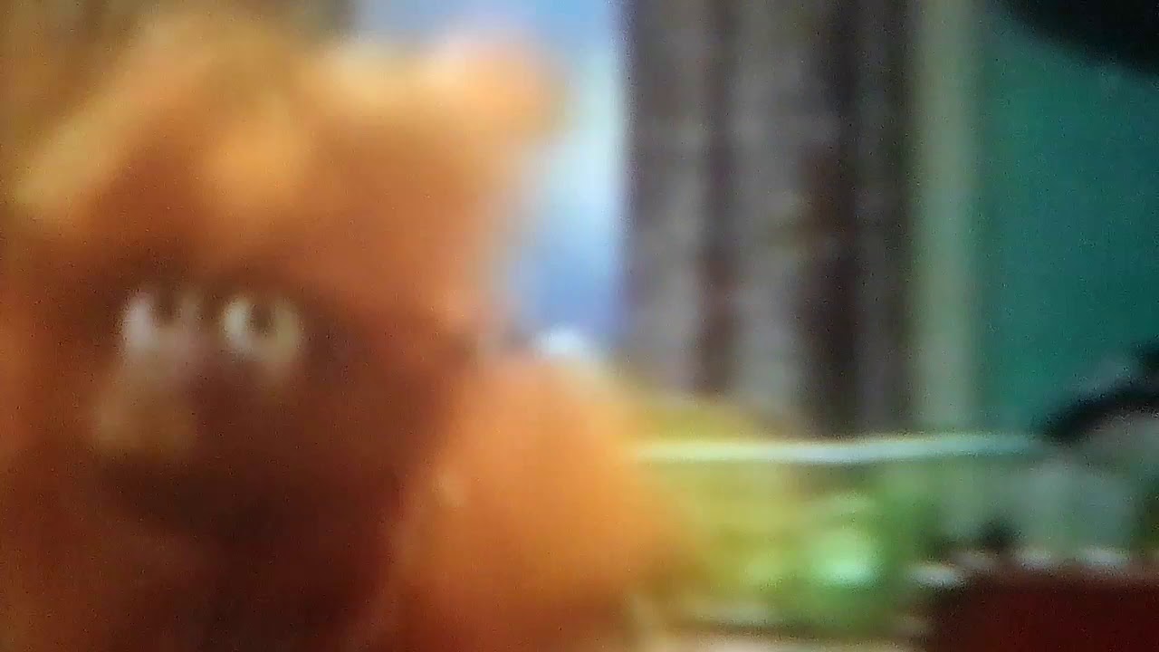 Sesame Street Cereal Girl YouTube