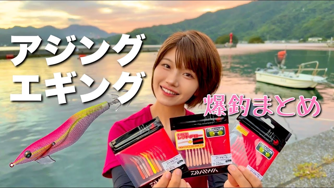 秋の夜長を愉しむアジング＆エギング爆釣回まとめ