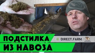 Переработка навоза в подстилку для коров