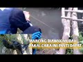 MANCING BIAWAK MUDAH. PAKAI CARA INI PASTI DAPAT