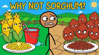 Why Don’t We Eat Sorghum ?
