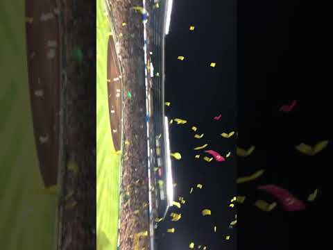 2019/5/10 阪神タイガース 勝利時