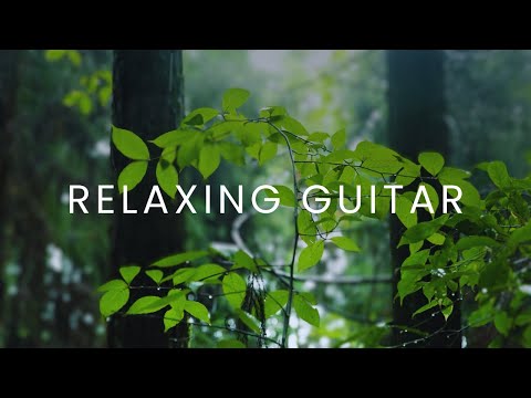 Soft Guitar Music and Rain to Work and Focus (1 Hour)