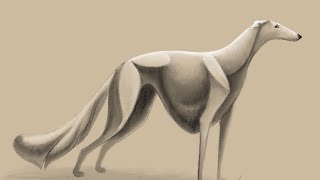 Surreal borzoi sketching on iPad Pro + ProCreate + Apple Pencil by Ashley Cirimeli 460 views 6 years ago 1 minute, 19 seconds