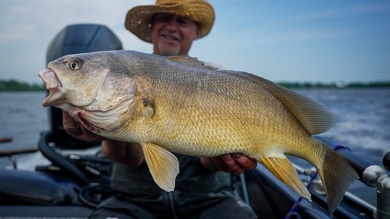 best saltwater casting reels 2019 The Best Saltwater Baitcasting Reels of 2026, Tested and Reviewed