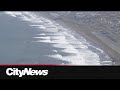 Tsunami waves hit Hawaii, Japan, U.S. and Canada west coasts