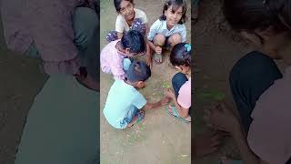 IGNOU PROJECT WORK ACTIVITY 29 
