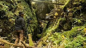 Muránska Planina - Herbstwanderung (Jesenná túra) - Slowakei - Karpaten - (so slovenskými titulkami)