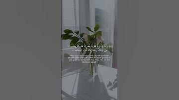 تلاوة خاشعة: سورة آل عمران آية 8 | قرآن يريح القلب