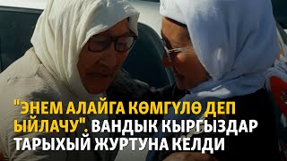 "Энем Алайга көмгүлө деп ыйлачу". Вандык кыргыздар тарыхый журтуна келди