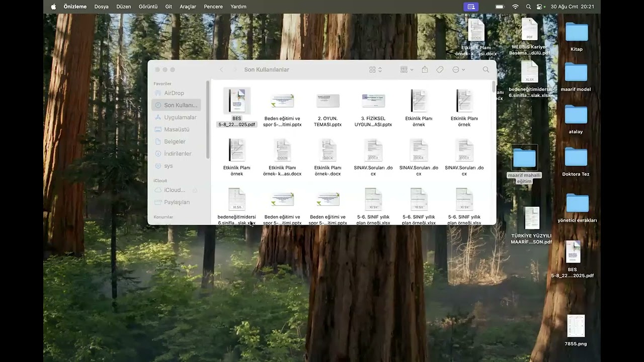 maarif beden eğitimi 1