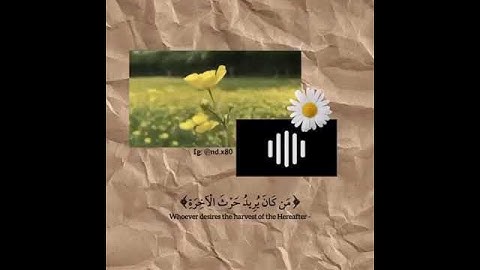 تلاوة  لشيخ ياسر الدوسري ☘️الله لطيفٌ بعباده quran 🌸🌿