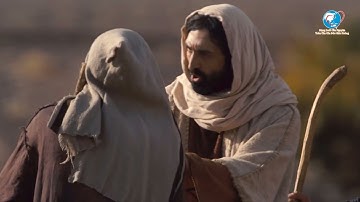 Cầu nguyện cùng Đức Giáo Hoàng ngày 10.11.2021 - Tông đồ cầu nguyện