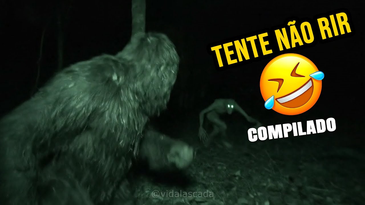 TENTE NÃO RIR COM 30 MINUTOS DE COMÉDIA DO PÉ GRANDE!🤣