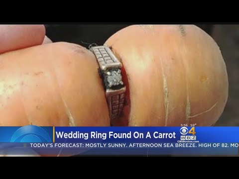 Wedding Ring Found