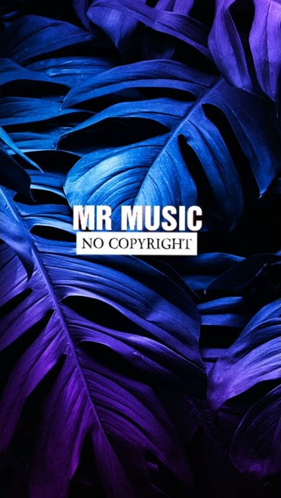Erik Lund - Summer Time#mrnocopyright