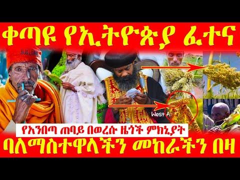 ቪዲዮ: ቀጣዩ የቶም ክሩዝ ሚስት ማን ትሆናለች