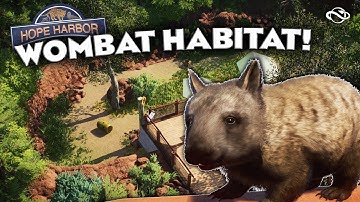 🌈 Southern Hairy-Nosed Wombat Speedbuild | Hope Harbor Zoo