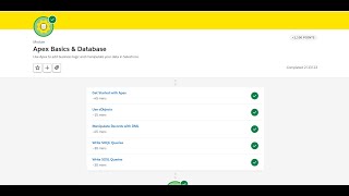 Write SOQL Queries || Apex Basics & Database