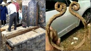 Phát hiện bia mộ cổ trong miếu, trên tấm bia có ghi dòng chữ ‘Tề Thiên Đại Thánh’