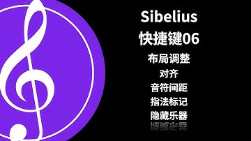 Sibelius打谱软件教程 Youtube