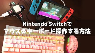【Nintendo Switch】マウス＆キーボード操作にする方法【コンバーター】