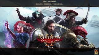 Divinity: Original Sin II #0