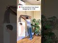 Posture Exercise! 🤯🥰 #posture #posturecorrection #physicaltherapy