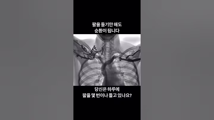 만세 하면 건강해진다? 팔을 들어야 하는 이유 #혈액순환 #건강 #어깨