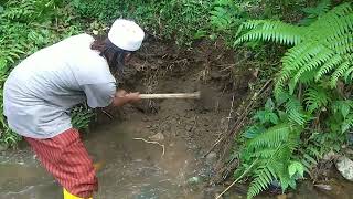 Mendulang emas di sungai