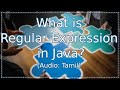 What is Regular Expression in Java? in Tamil | ஜாவா (Java in Tamil)