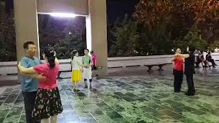 情不自禁--舞風社臉書直播影片1090616