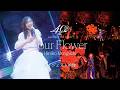 森口博子「40周年アニバーサリーツアー "Your Flower"」ダイジェスト映像 (国際フォーラム ホールC)