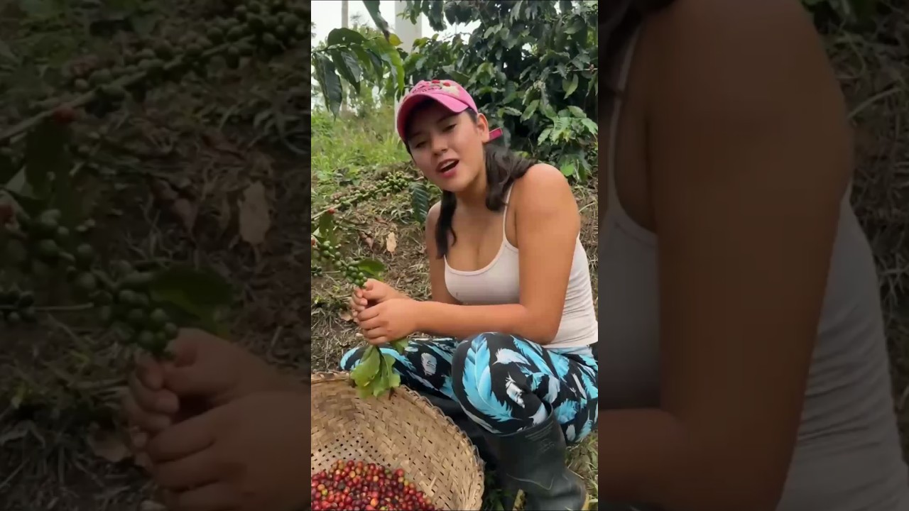 🍒Living Alone in Berig Kofi Jungle | Bushcraft Camping Girl🌀 