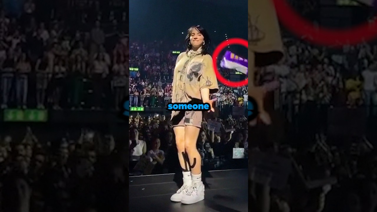 Fan THREW Takis At Billie Eilish!