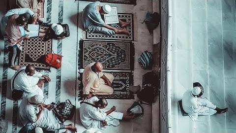 فواتح سورة فصلت-للشيخ أنس بن عيسى العمادي-وفقه الله وسدده-