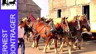 Amish 8 Horse Hitch Pulls Two Story House